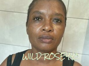 WILD_ROSEY40