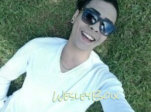 Wesley_Boix