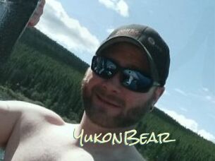 YukonBear