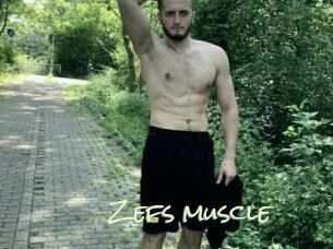 Zefs_muscle